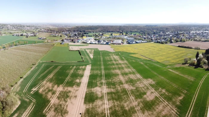 Buschkauler Feld